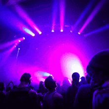 a crowd of people are watching a concert with purple lights