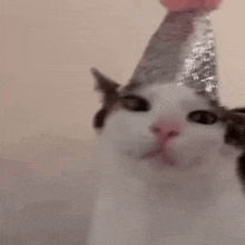a cat wearing a party hat with a balloon on top of it .