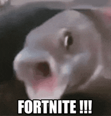 a close up of a fish with its mouth open and the words fortnite !!!