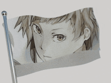 a waving flag with a picture of a boy on it