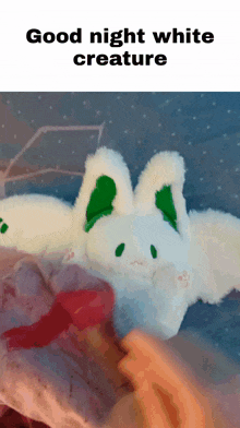 a person is holding a stuffed animal that says " good night white creature " on it