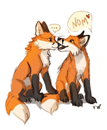 a drawing of two foxes kissing with a speech bubble saying nom