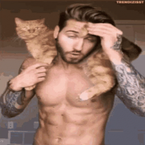 Hot Gif Hot Discover Share Gifs