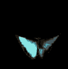 Blue Butterfly GIF