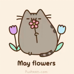 may flowers pusheen the cat