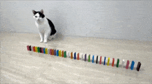 Cat Nothing To See Here GIF - Cat Nothing To See Here Perfection GIFs