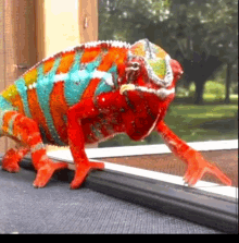 Slow Chameleon GIF - Slow Chameleon Change Color GIFs