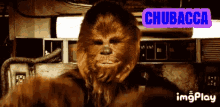 Chubacca Cheesy GIF - Chubacca Cheesy Hair GIFs
