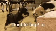 Double Boop Ollie And Lauren Boop GIF - Double Boop Ollie And Lauren Boop I Boop You GIFs