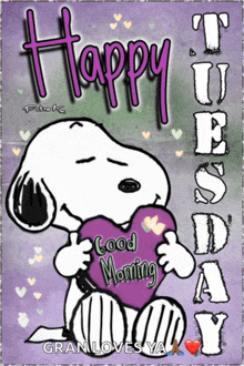 a picture of snoopy holding a purple heart that says " happy tuesday "