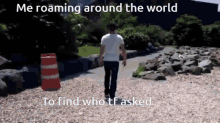 Who Asked Around The World GIF - Who Asked Around The World Me Roaming Around The World GIFs