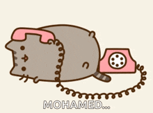 Pusheen On The Phone GIF - Pusheen On The Phone Talk With You All Night GIFs