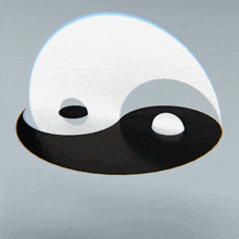a black and white yin yang symbol with a white circle in the middle