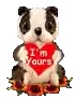 Im Yours Love Sticker - Im Yours Love Dog Stickers