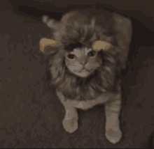 GIF