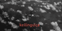 Kellinguiça Kelly GIF - Kellinguiça Kelly Linguiça GIFs