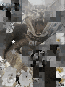 a pixelated image of a cat with the word cat on the bottom