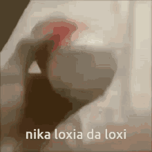 Nika Loxia GIF - Nika Loxia Nika Loxia GIFs