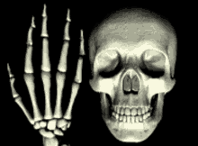 Skull Skull Middle Finger GIF - Skull Skull Middle Finger Middle Finger GIFs