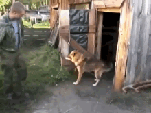 Close That Door GIF - Dogs Doors No GIFs