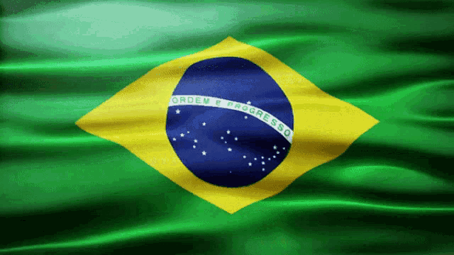 Brazil Brazilian Flag Bandera do Brasil Brasileira Gift Tank Top