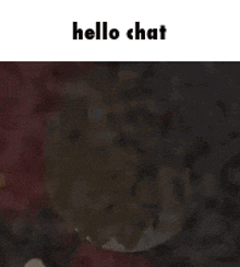 a picture of a person 's mouth with the words `` hello chat '' written above it .