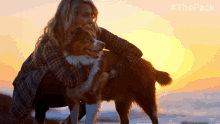 Pet A Dog The Pack GIF - Pet A Dog The Pack Love GIFs