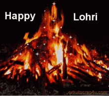 Happy Lohri GIF - Happy Lohri Festival GIFs