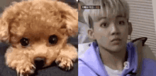 Puppysuk Choi GIF - Puppysuk Choi Hyunsuk GIFs