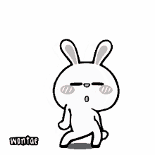 wontae hiper rabbit rabbit dance baile