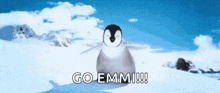 Penguin Super Happy GIF