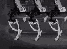Minnie Moocher GIF - Minnie Moocher Skeleton GIFs