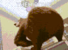 Thehirowe Hero GIF - Thehirowe Hiro Hero GIFs