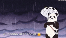a panda bear holding an umbrella in the rain .