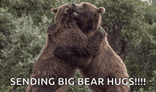 Love Bears GIF