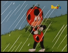 a cartoon ladybug is standing in the rain with a frog in the background and the word rock on the bottom