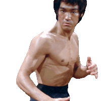 Ready To Fight Lee Sticker - Ready To Fight Lee Bruce Lee Stickers