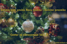 New Year Education GIF - New Year Education Belgrade GIFs