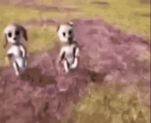 barbie-dogs-dancing-fast.gif