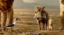The Lion King Timon GIF - The Lion King Timon Oh Wow Its A Puffin GIFs