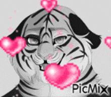 a black and white drawing of a tiger with pink hearts around it 's face .