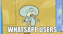 whatsapp users