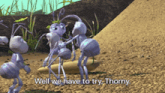 a group of ants are standing in the dirt and one of them says " well we have to try thorny "