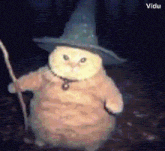 a cat dressed as a wizard holding a staff