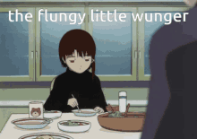 rgo real gamers only lain serial experiments lain flungus