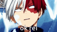 a close up of a person 's face with the words " ok rei " on it