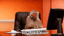 Monkey Type GIF - Monkey Type GIFs