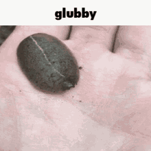 Glubby Glubby Snail GIF
