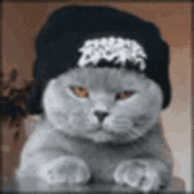 Swag Cat GIF - Swag Cat GIFs