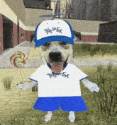 a dog wearing a hat that says this is for holds a lollipop